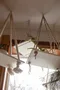 carousel chooser